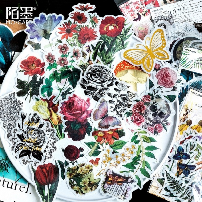 60 stks/pak Creatieve Natuurli - Art Craft 6 Year Old recensie en prijs